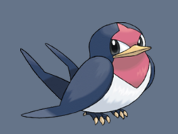 Pokémon: Common Birds