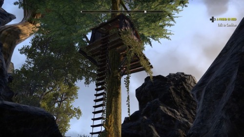 Tree House in Vvardenfell