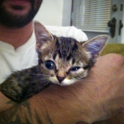 bublog:  The very first time I held a BUB. She was not heavy. 