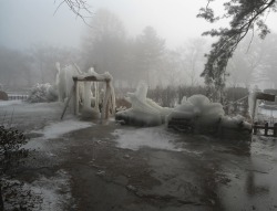 introspextion:   Pale