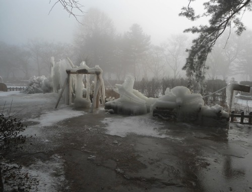 introspextion:   Pale