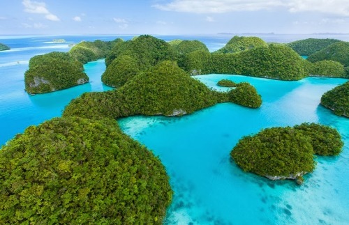 unicorn-meat-is-too-mainstream: Palau is an archipelago of about 250 islands, located in the western