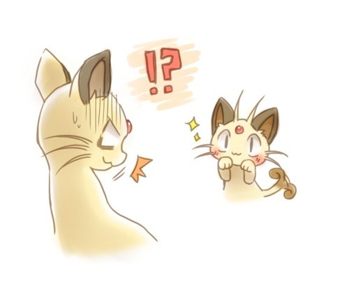 nationalpokedex:This is adorable!!!