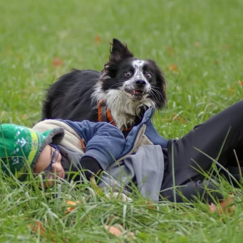 Quinn thinks something is off about the new dog friend…#hikingwithdogs #hikingdogsofinstagram