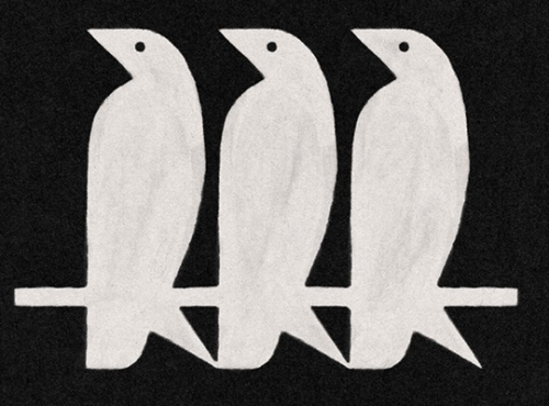 Stories Of Three Little Birdsfor @jkvjimin