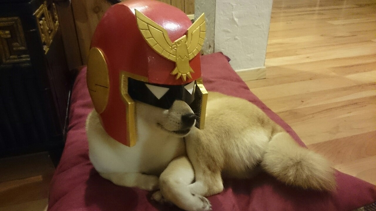 tinycartridge:  Thank you for coming into our lives, Captain Falcon Dog ⊟ And