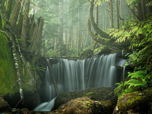 Creek at Britannia Beach-1766 by Geoffrey Shuen Photography on Flickr.