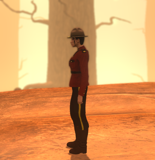 Mountie - Campaign hat, tanMountie - Red Serge jacketMountie - Breeches with gold strapping, dark gr
