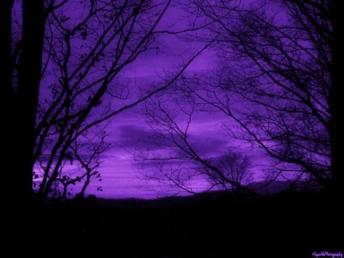 purple sky