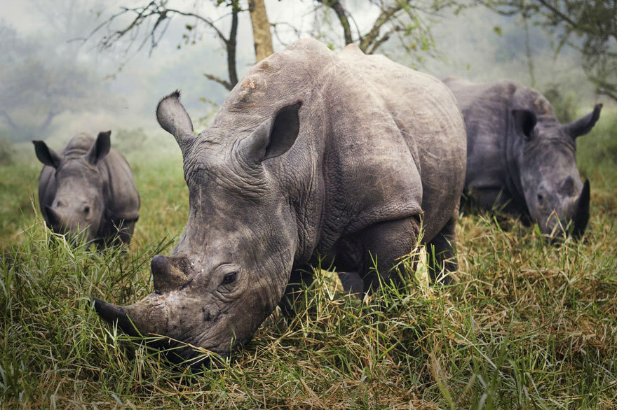 awesome-picz:    The Winners Of The 2015 National Geographic Traveler Photo Contest