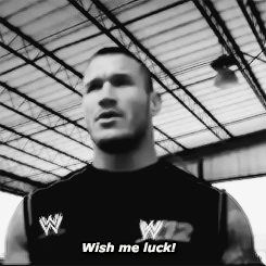 r-a-n-d-y-o-r-t-o-n:   In the honor of Randy Orton mentioning his fear of spiders