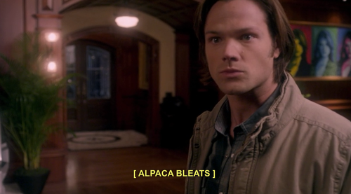 biffan:  supernatural subtitles 