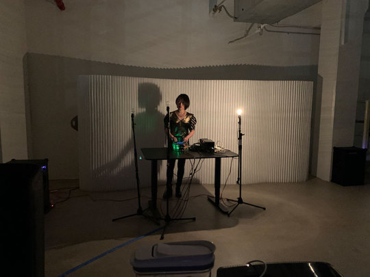 Viola Yip performs with Bulbble, photo by Jason Sigal