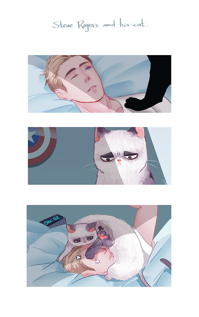 colnchen:  PTSD: The Soldier’s DiariesSteve Rogers and his cat ｜ day start   