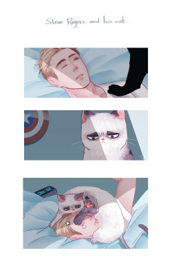 gokuma:  colnchen:  PTSD: The Soldier’s DiariesSteve Rogers and his cat ｜ day start     But, have you read the Steve/Tony cat story? :)Momentary Paws (or, DO NOT WANT) by velithya 