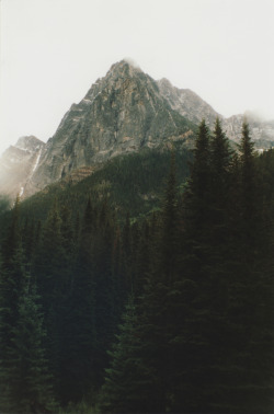 lvndcity:  Untitled by Robin Mellway | Flickr