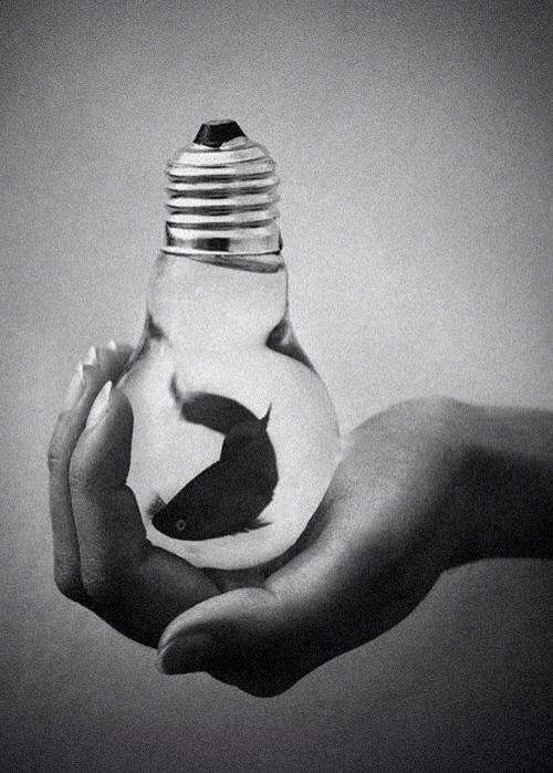 dovi-die:  &ldquo;• 