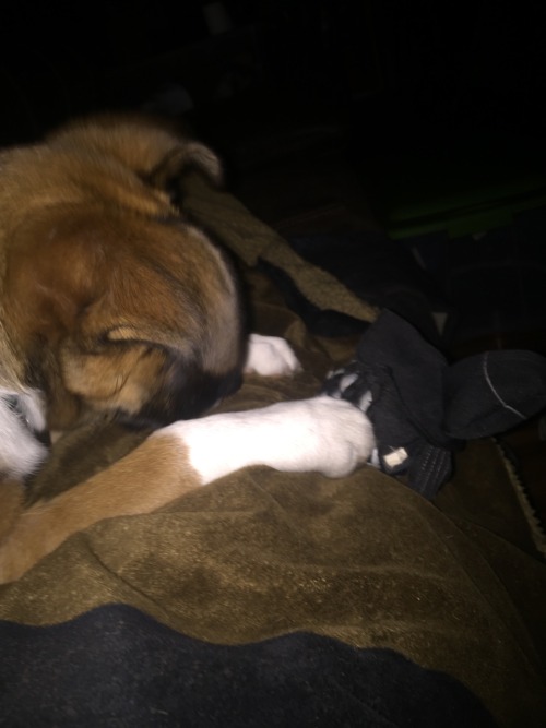Watching Star Wars the force awakens with Freya and she’s chewing on her darth Vader toy, a decent night