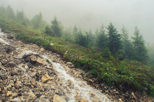 The Magic of the Alps by Jerdess