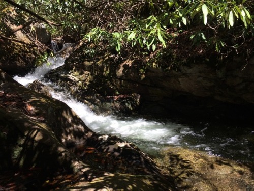 Beautiful Brook Trout near the A.T.~At Firescald Falls in Dennis Cove.