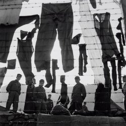 shihlun:  Werner Bischof - Washing Day, Koje Do, Korea (1952)