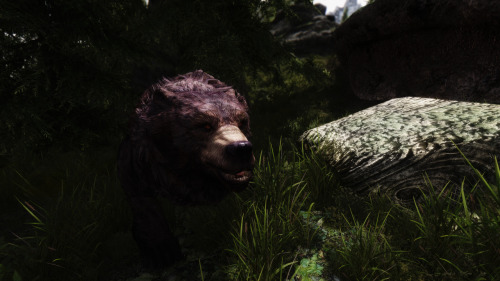 pink-reindeer:mo-bear0417:[Mudcrab_Bear_Wisp-Armor]久しぶりのBears! Bears!! Bears!!!wat