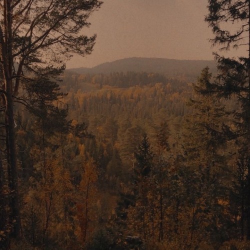 Happy Autumn