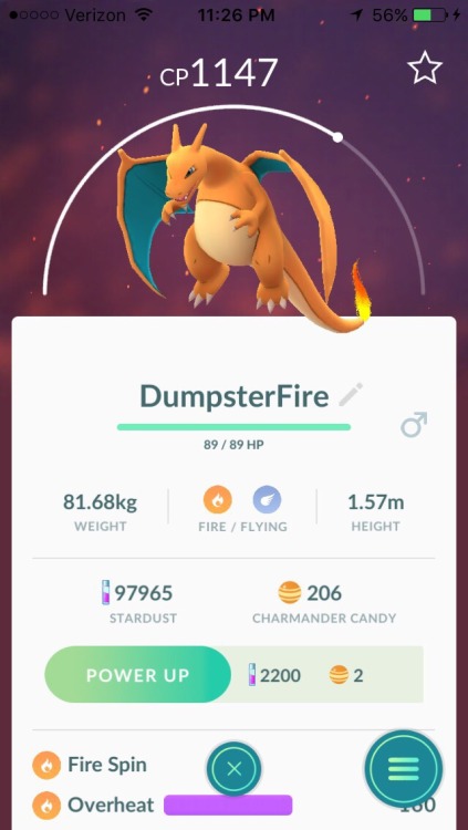 jellicle-ball: Solstice event highlight was finding this dumpster diving charizard behind the mall a