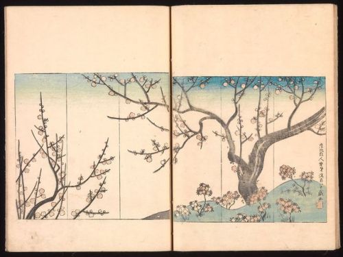 heaveninawildflower:Images taken from ‘Ink Traces of Kenzan’ (1823) by Sakai Hōitsu (Japanese, 1761–