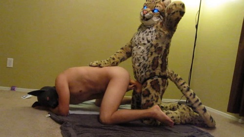 duke317:  Good boy. ;3