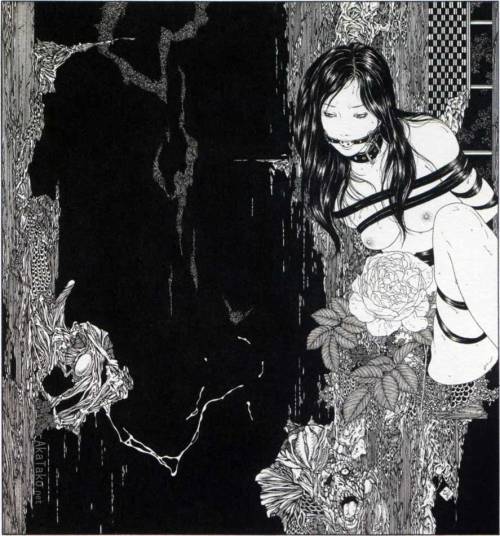 akatako: SHAM ROSE by Takato Yamamoto is printed in “Divertimento for a Martyr”. Signed copies avail