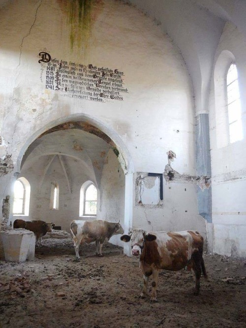 abandonedandurbex: Fortified Transylvania-Saxon (Lutheran) church of Dobârca, Sibiu County, Ro
