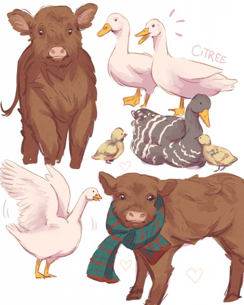 citree:Some more soft cows (with friends!)