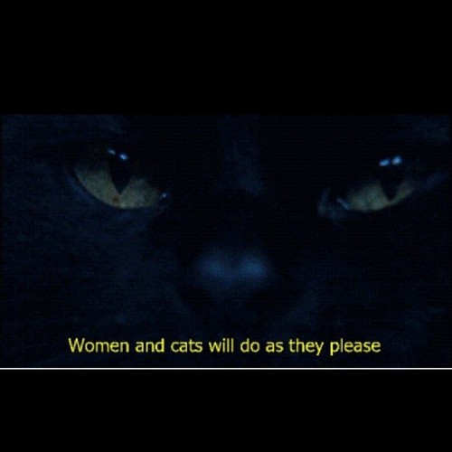 Porn #cats #women photos