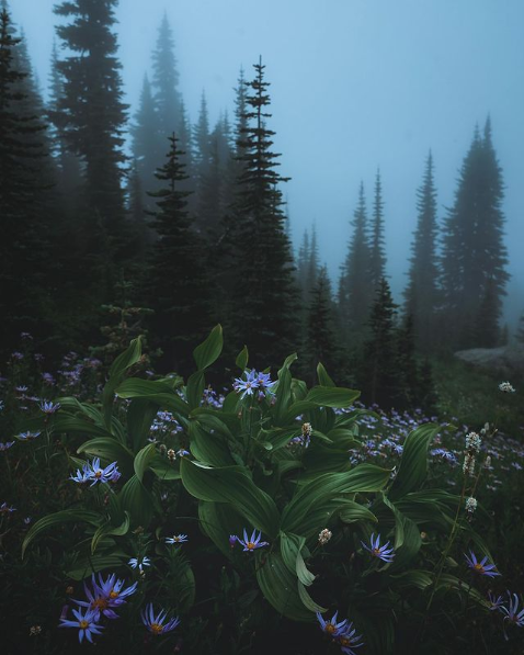 Photography By Zach Nichols