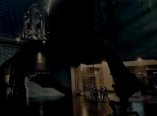 c156d72d9b8b85c831eb72eeee5143b6e6f13e25.gifv