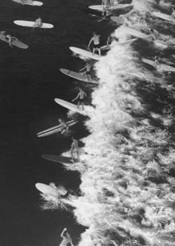 life:  Stoked: LIFE goes surfing (Allan Grant—Time