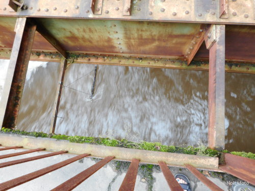 Hochwasser der Rur bei Birkesdorf (Juli 2021)NoltAfoto