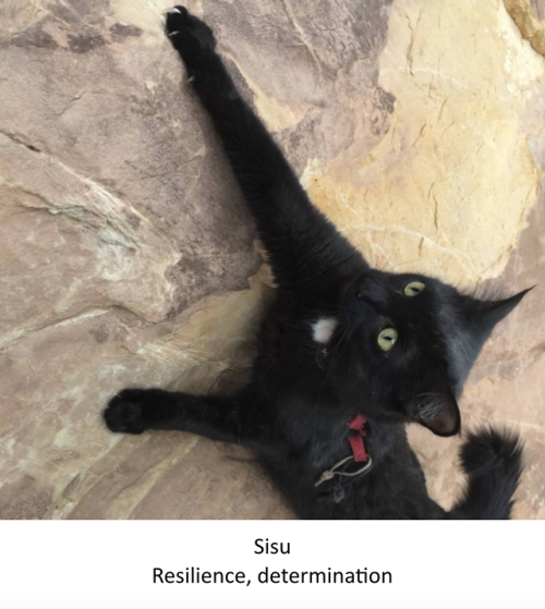 Finns are known for having something called “sisu”, which is a complex notion with 