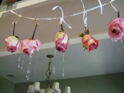 gelatinadeleche:  preserving flowers 