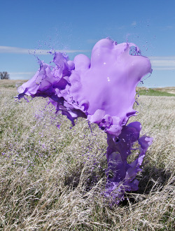 asylum-art:  Floto+Warner Studio: Colorful Liquid Splashes Captured at 1/3500th of a Second Look Like Floating Sculpturest  Cassandra Warner and Jeremy Floto of Floto+Warner Studio recently produced this beautiful series of photos titled Clourant that