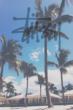 xglan:  stussy edit by me 