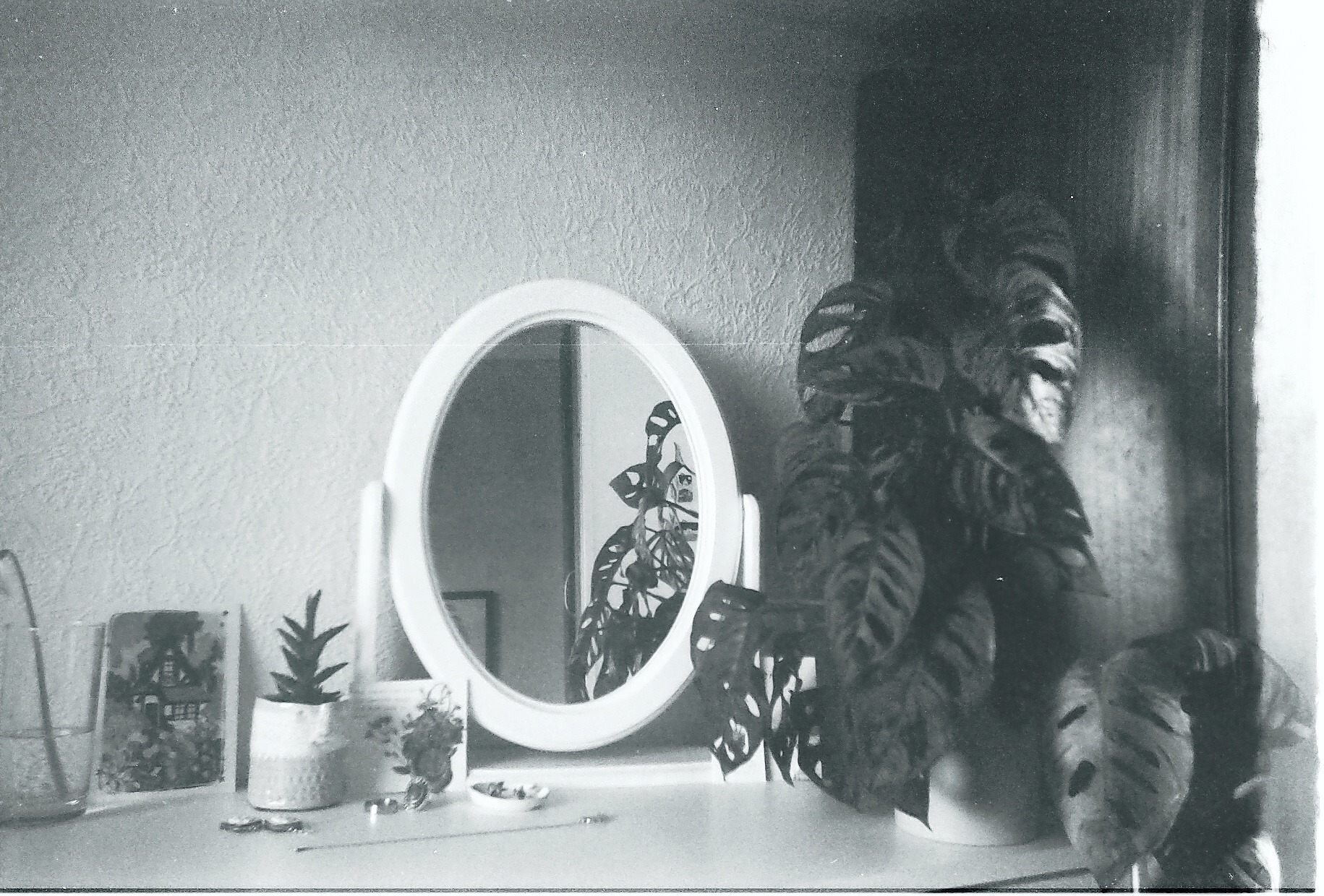 nymphaforesta:peacefulness in ordinary lives