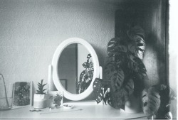 nymphaforesta:peacefulness in ordinary lives