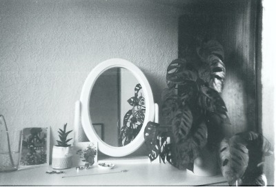 nymphaforesta:peacefulness in ordinary lives