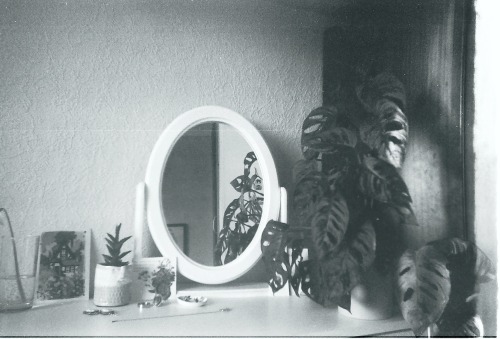 nymphaforesta:peacefulness in ordinary lives