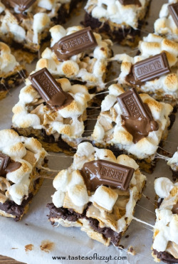 delicious-food-porn:  S’more Brownie Batter
