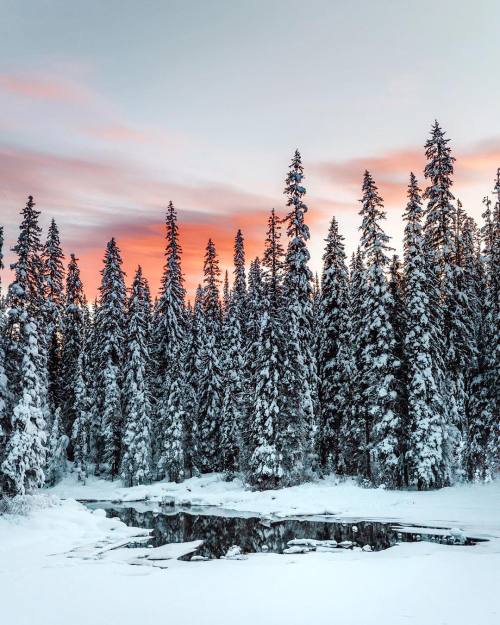 mikeseehagelsquares:  A little bit of colour in Yoho National Park. #greatnorthcollective