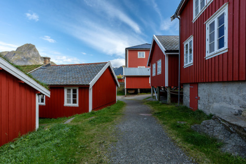 Traditional Norwegian Houses III Beautiful architecture at Reine in Lofoten, Norway.