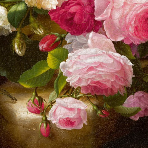 florealegiardini: Still Life with Roses, c. 1860. Adelheid Dietrich (German, 1827 - 1891)